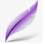 Screenshot of your problem